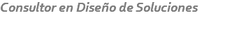 Consultor en Diseño de Soluciones